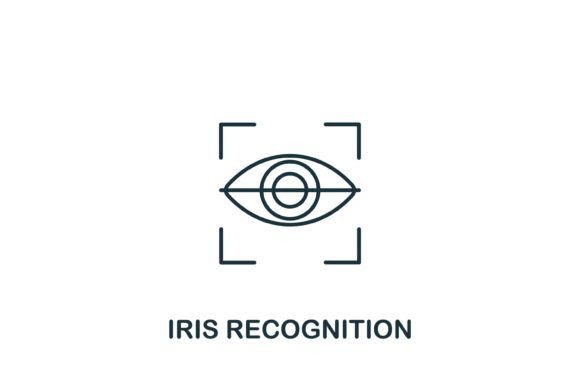 Understanding Iris Recognition Icons